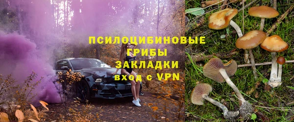 прущие крисы Арсеньев
