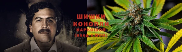 винт Армянск