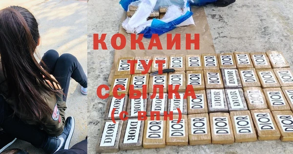 винт Армянск