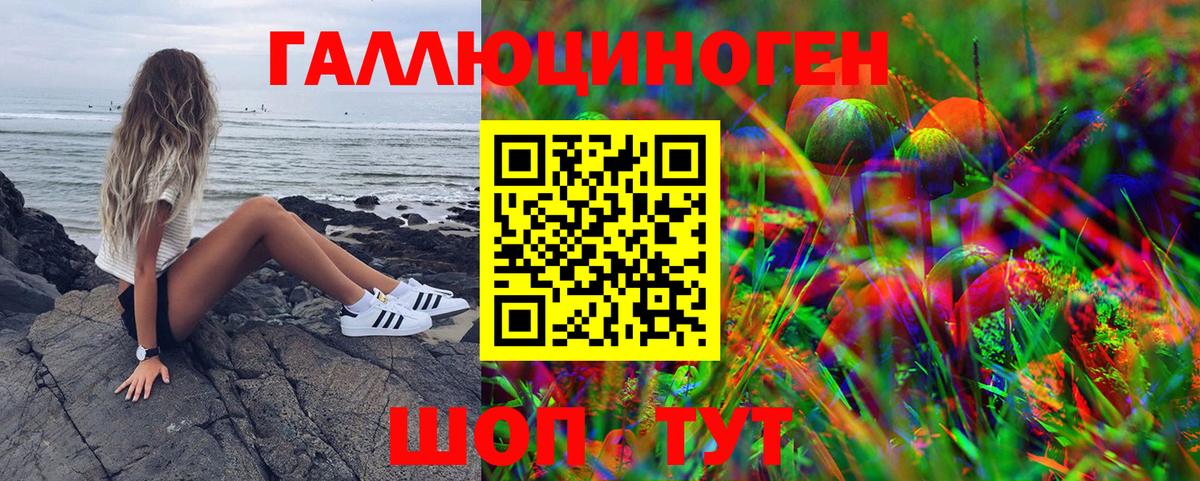 Галлюциногенные грибы GOLDEN TEACHER Нарткала