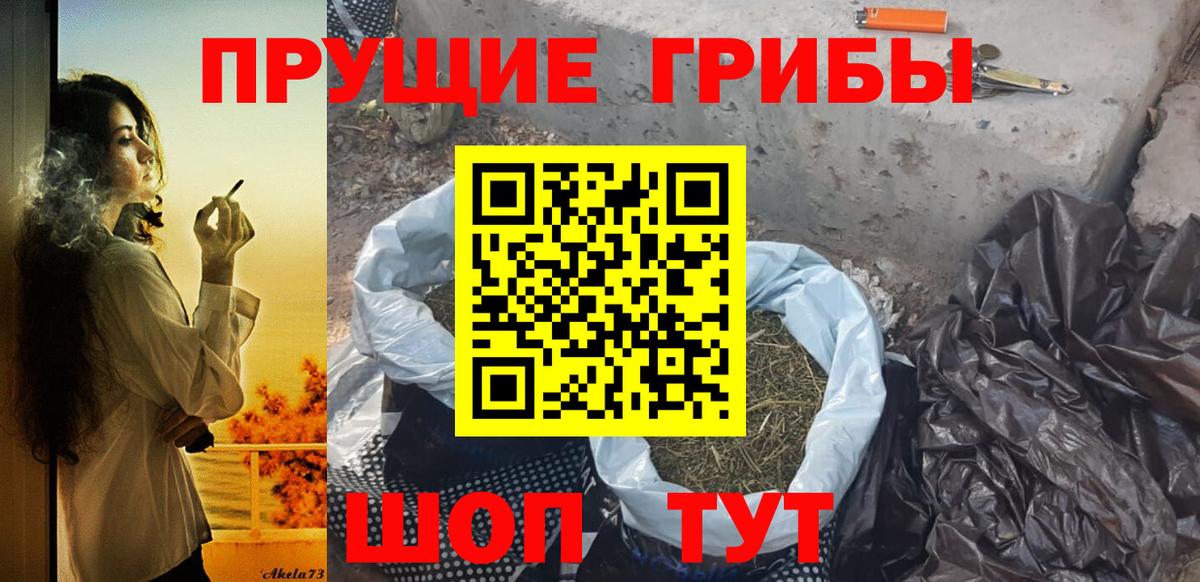 Псилоцибиновые грибы MAGIC MUSHROOMS  Вход с VPN  Нарткала 