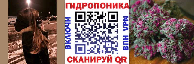 Канабис планчик  Нарткала 
